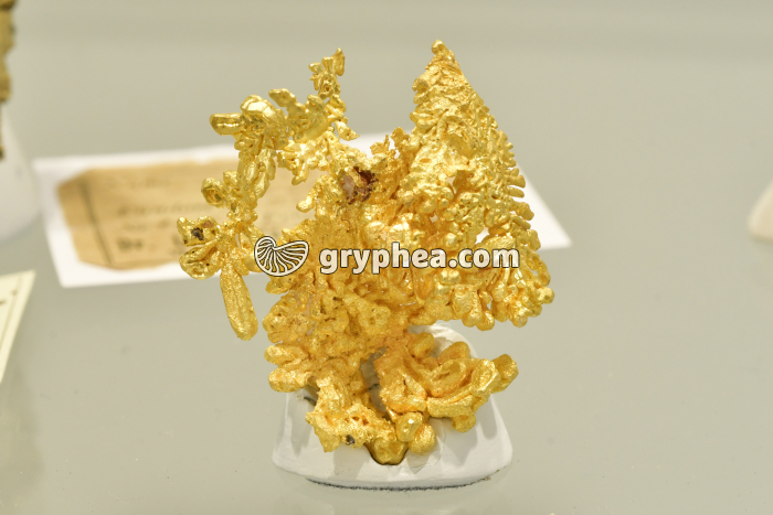 Pépite d'or - gryphea.com